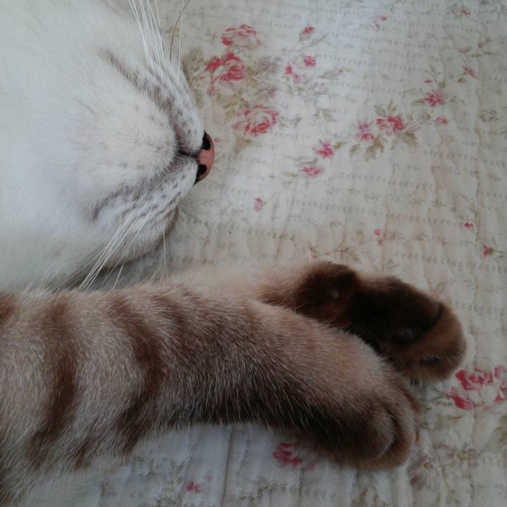 7882adf9 330e 49c0 a604 73fcf8eba23c