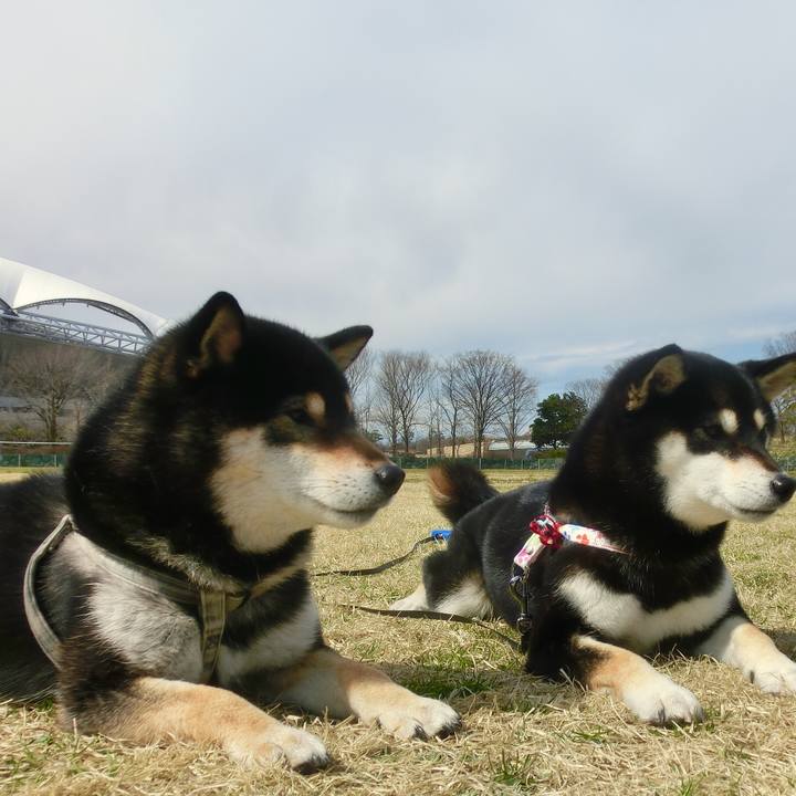 7882ce52 5b13 44df a4ea 41d518422e72