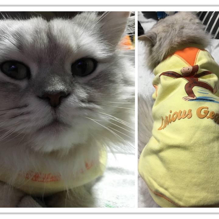 7882ea80 d7bf 46d5 b2ff 8590c570d4e1