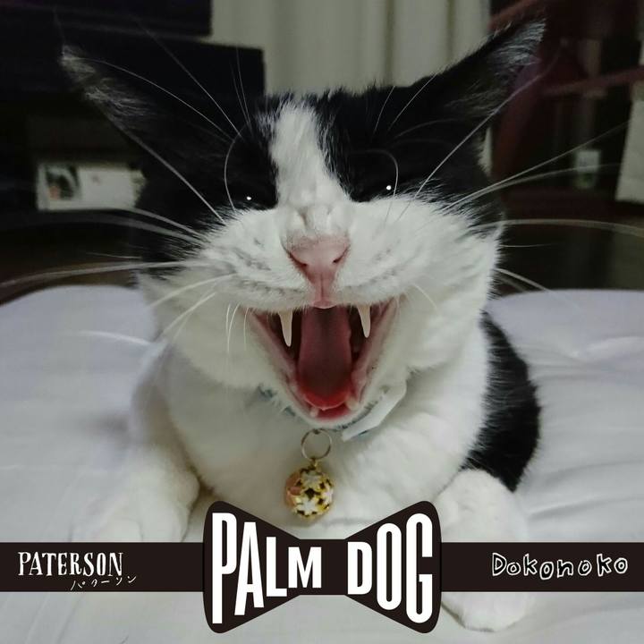 78832c77 586a 4a57 9da5 a06a5c8cb0b5