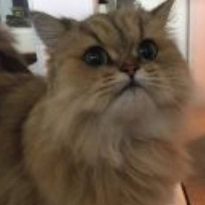 78834a47 fb98 444d a580 870f8375b981