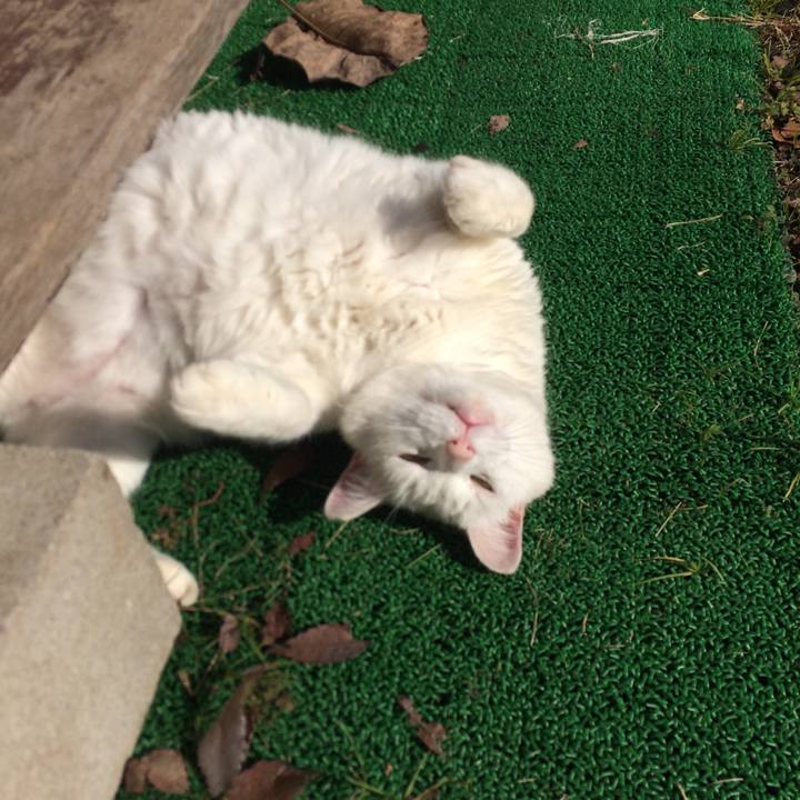 7883ad9c 8d5d 44a0 a370 cee8fae3cfa1