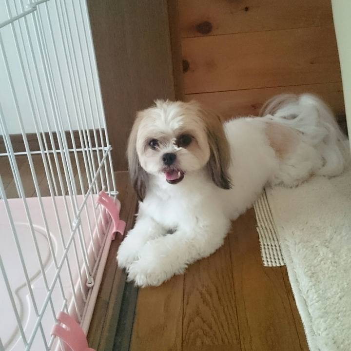 7883b763 aaa0 476b 9ae4 f0ba9d6ff7e9