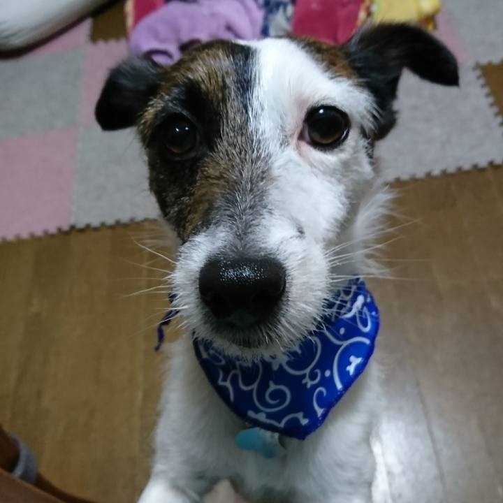 78840e04 6742 4966 98f5 6c4919ca9a4b