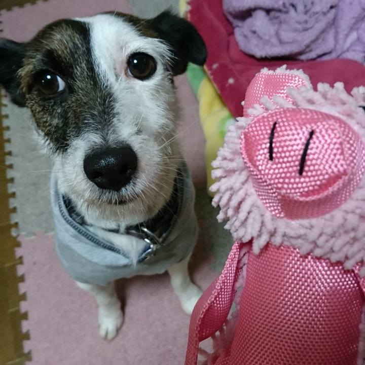 78844788 2a89 4b7b 80d0 510170903cad