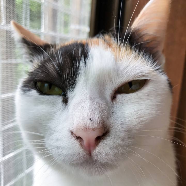 788492c2 b838 49b4 909f 44b2e74a971b