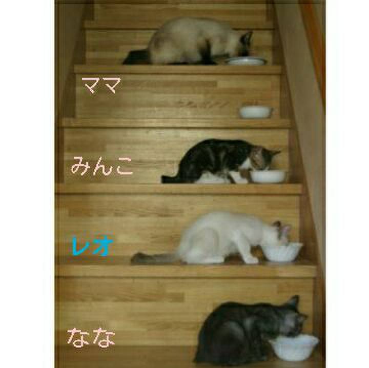 7884cea6 108c 4453 b7c5 54bd64a0c2fc