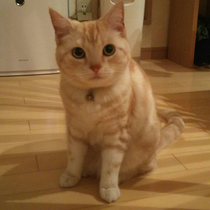 7884eaa6 bef2 452c aeda 6247aa9953ae