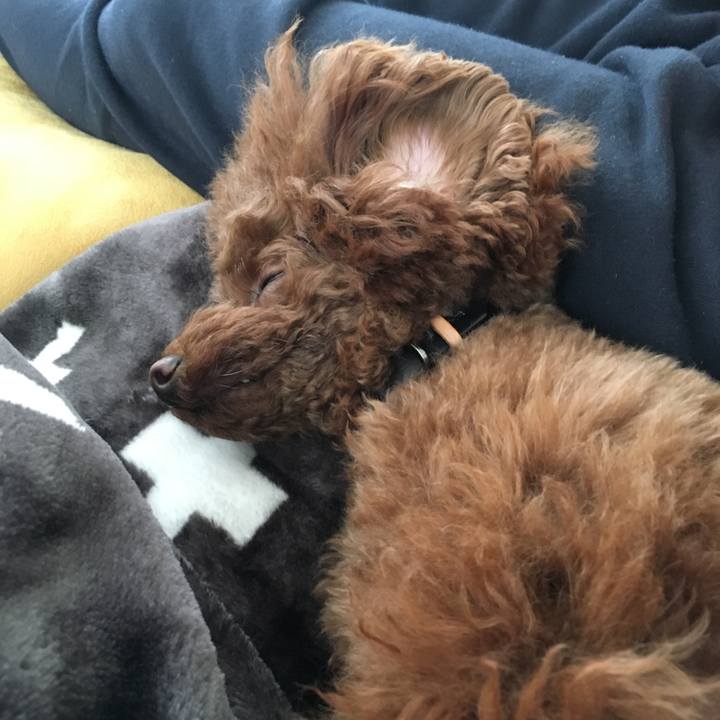 7884ecaf 9cf6 44f5 a619 cc2c7afc5d9e