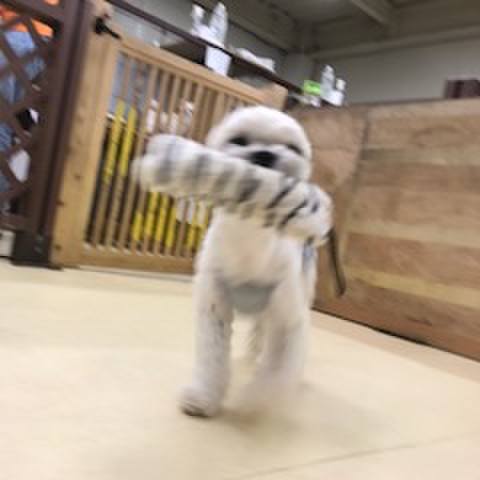 78850361 0fbc 41dd af46 5e63ed177ed5