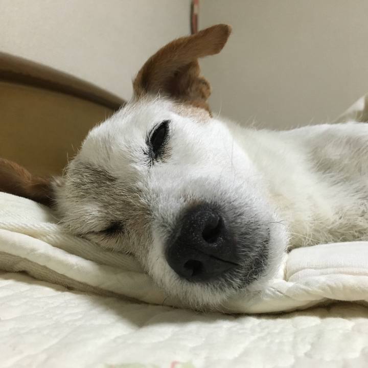 7885a348 7a1a 4e53 b7c3 d951369abd52