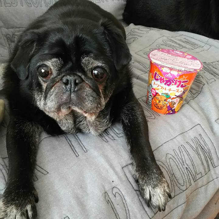 78863dea 3bb7 460c af18 71f76d7b3659