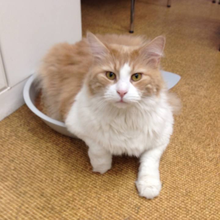 7887c004 bcbd 4702 ab1d 10689f094825