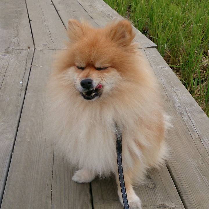 7887fb77 922d 4071 b203 4ab614671c0f