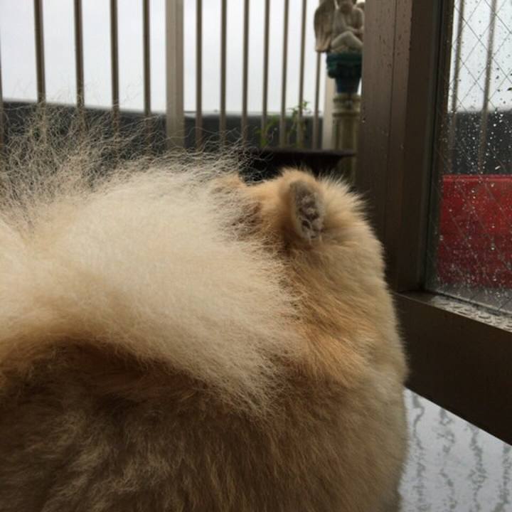 788844b1 7351 4209 a01b 3f4caf21d312