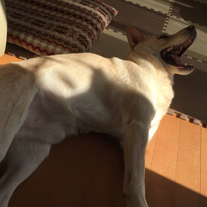 78885d94 a1fe 423c b151 09086c93dd37