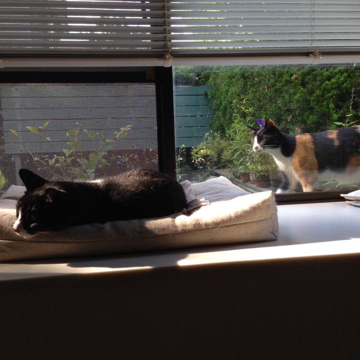 78887ba4 c826 4e3b ad1d 599435c4d5f7