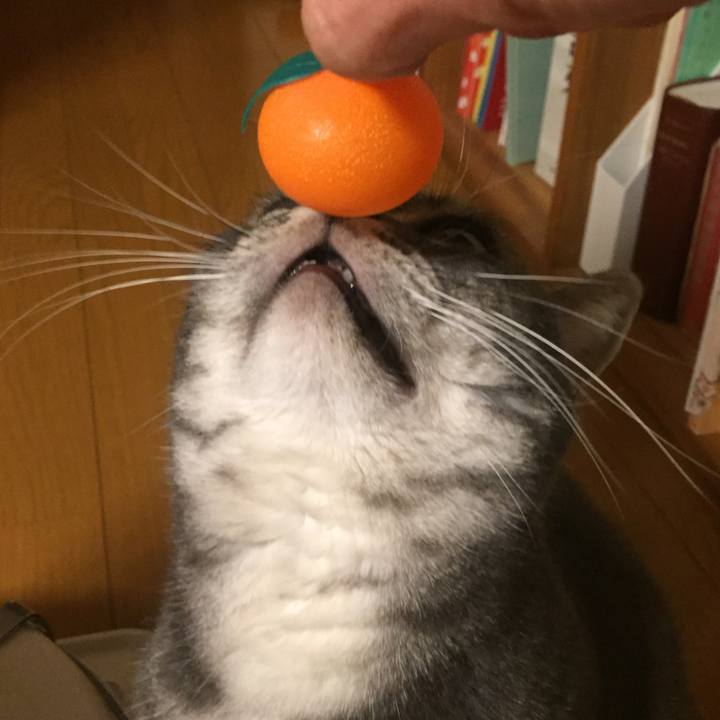 78896270 809a 4070 9e2f becbd10c79f6