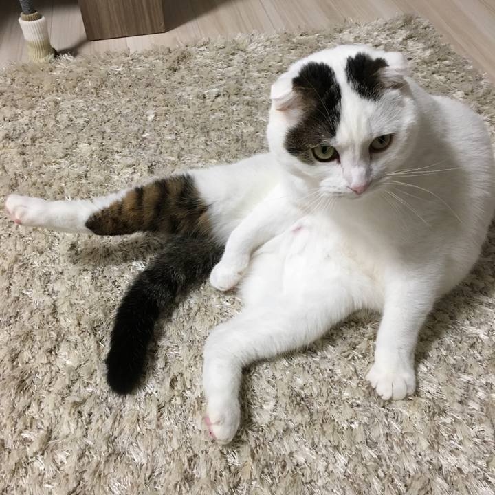 7889b454 fb43 4a4f 9b86 525919570de8