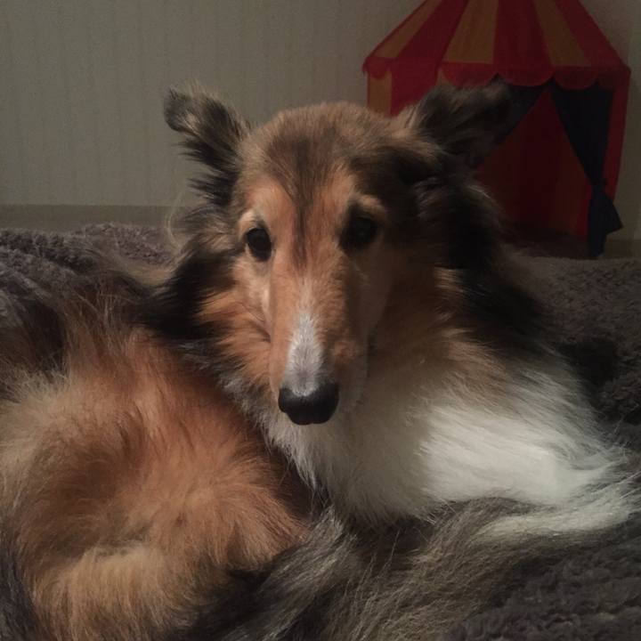 788a325b 439c 4f98 a75a c67818a75bed