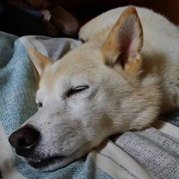 788aa860 4b37 4231 9a0d 4edaf4a7d351