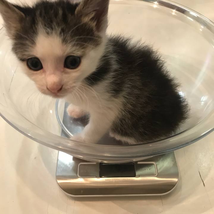 788ab90a b973 44fe 959f 7eaa4ebb5fb6