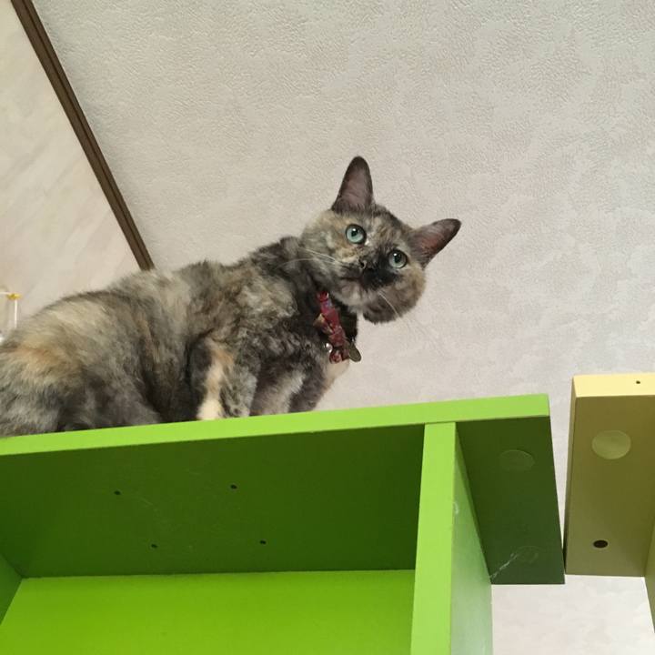 788ae5a2 032d 4a6c a462 fc65f78ac944