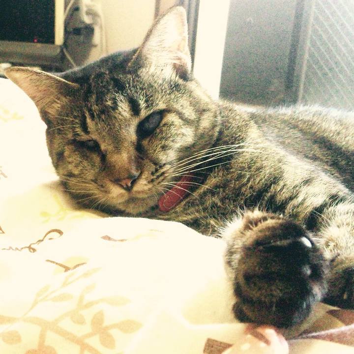 788b0cce fc6c 4c93 9d30 a185714354ce