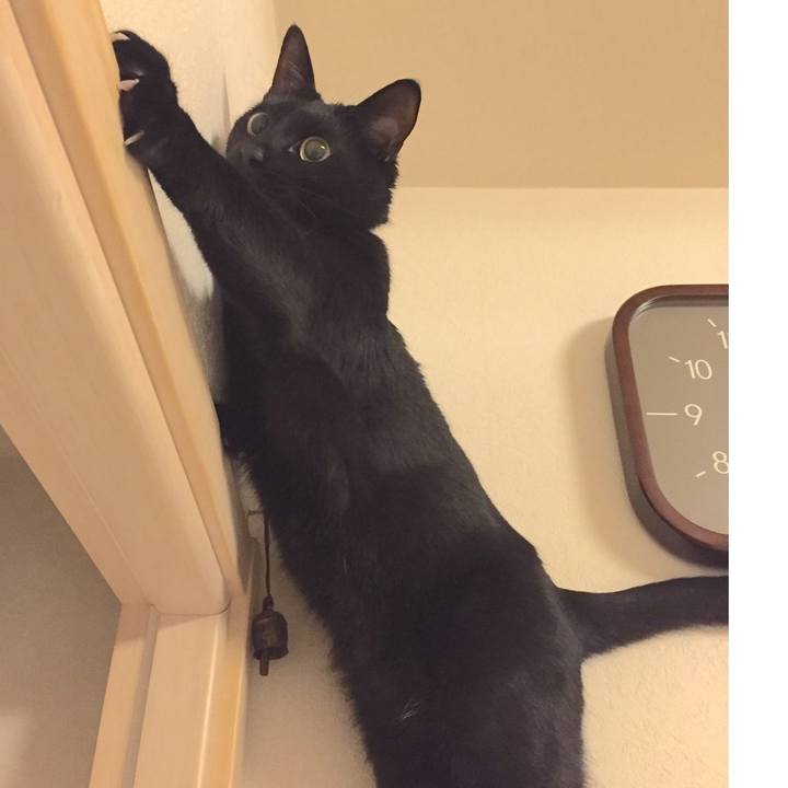 788b0e8c 147e 44f9 8d19 9b0d391b5f77