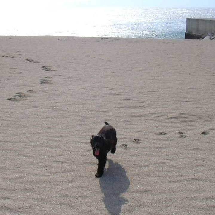 788c0185 6b81 4b58 8288 e718083f76b3