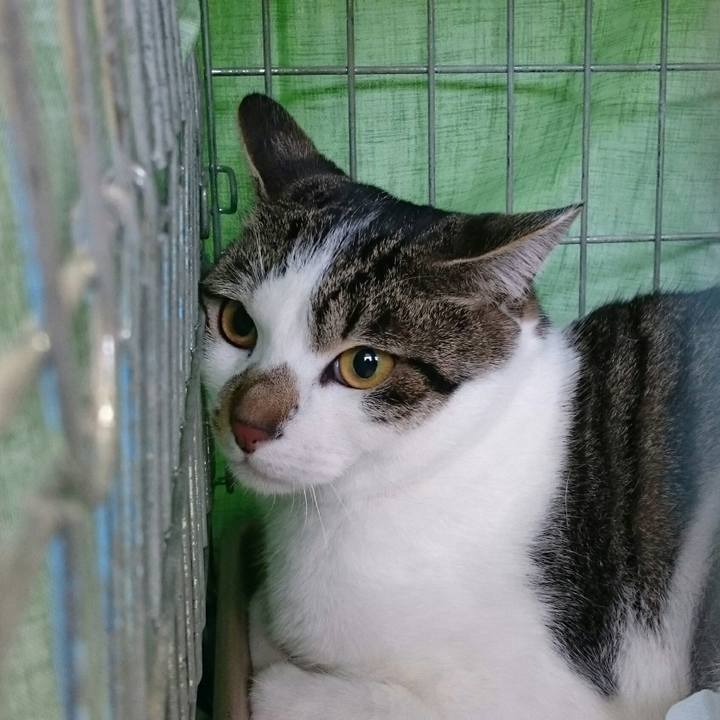 788c756a 2d5c 47b7 afa5 353c4fb9b682