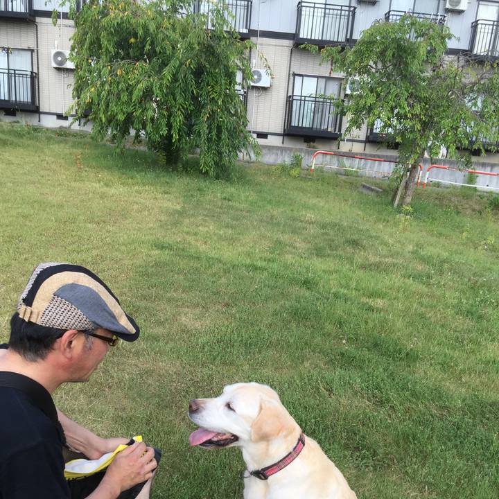 788ca54e c02b 446d b9b7 a46948fa3190