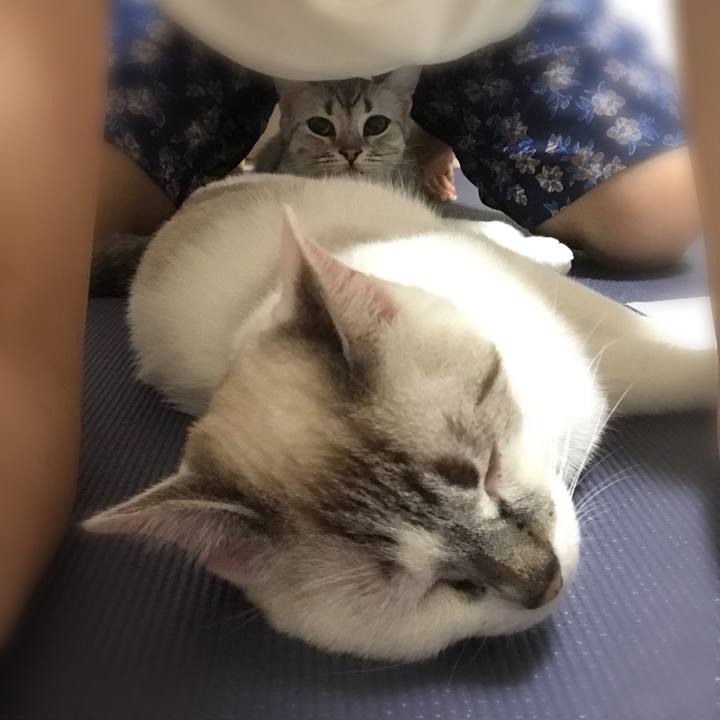 788cf9dd 4b46 493f b069 998fc1fe30c8