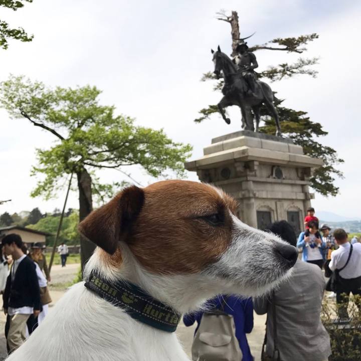 788d0f6e 3d8a 4cce a8a9 2b9f7d8641a1