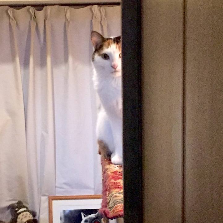 788d475e 6dd3 45ba 87ce 834667ba16cd