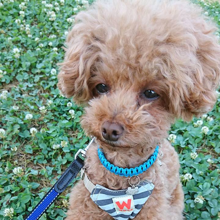 788dd54c 29e2 4f8e a95b 7ea04ccf3671