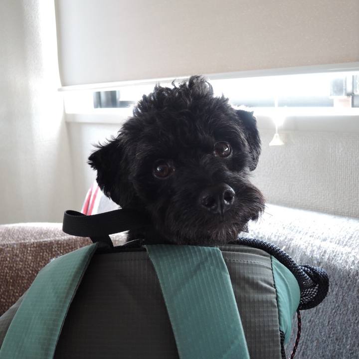 788dea77 2e27 4c2f b9b9 d0f89ca498f9