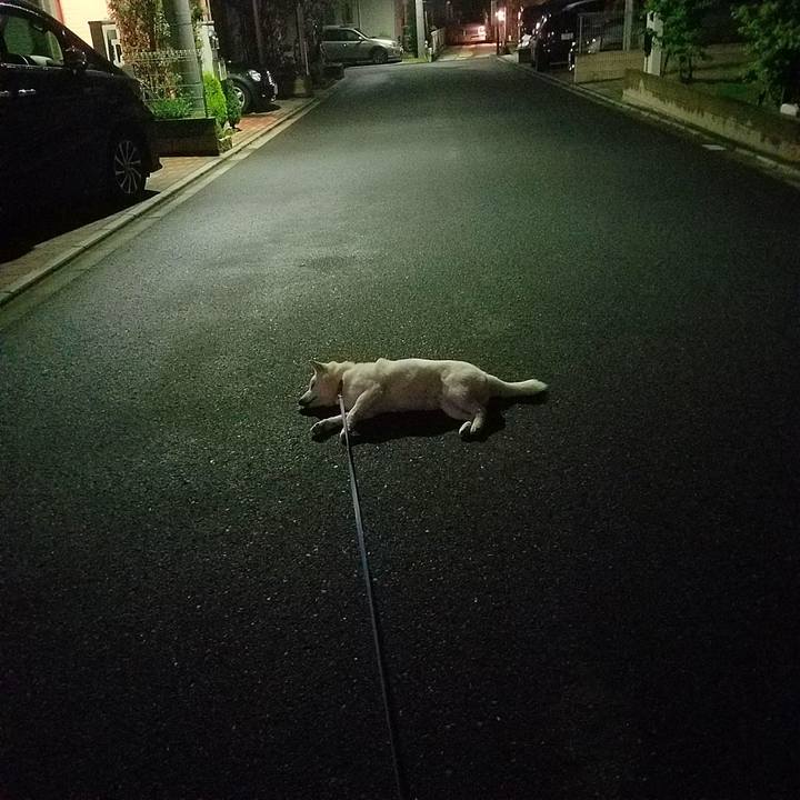 788f0436 ae44 477c b3e9 7039cd052b2d