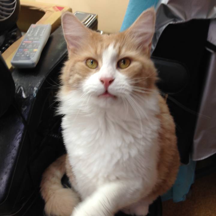 788f1c62 5523 47a4 894a 94ed051445fc