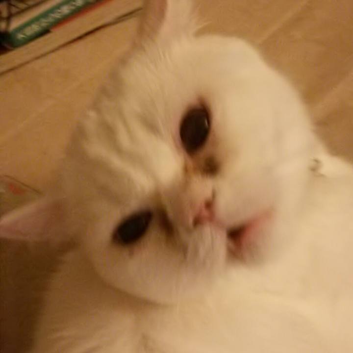 788f8828 a826 46e5 b844 fe0e67e03b56