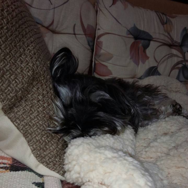 788fb346 fcbd 4a7c a668 aa2b9ddbfc4d