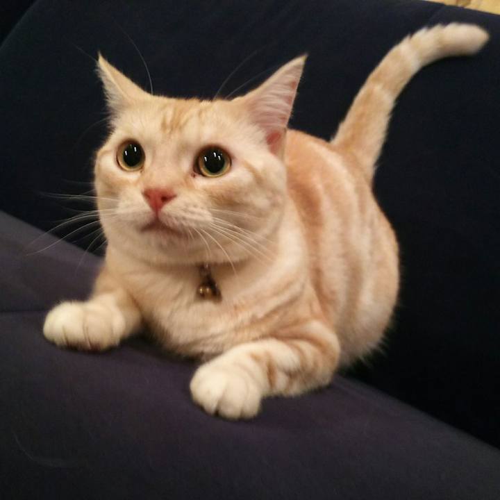 788fddfc 8b18 405c 9c4e 24ff218e705d