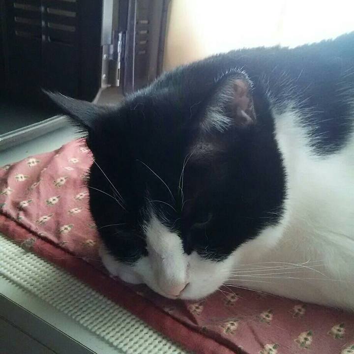 788fe5f8 6ae1 4a20 8038 c65c32847fcc