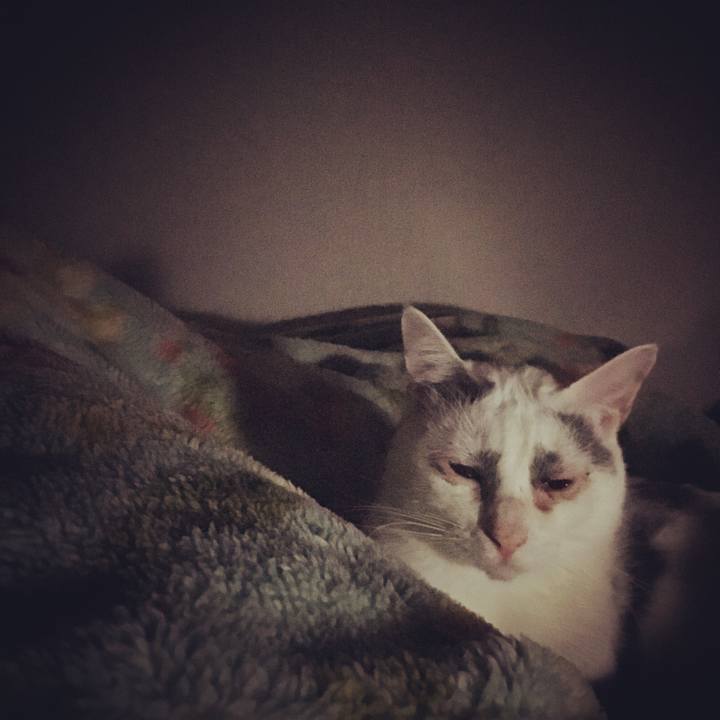 78907382 c4e3 46a2 9905 5eadfe29c1f4