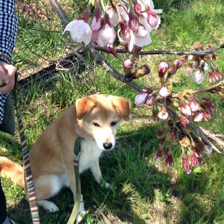 789143c1 da00 4907 b1b9 120a9fe63e58