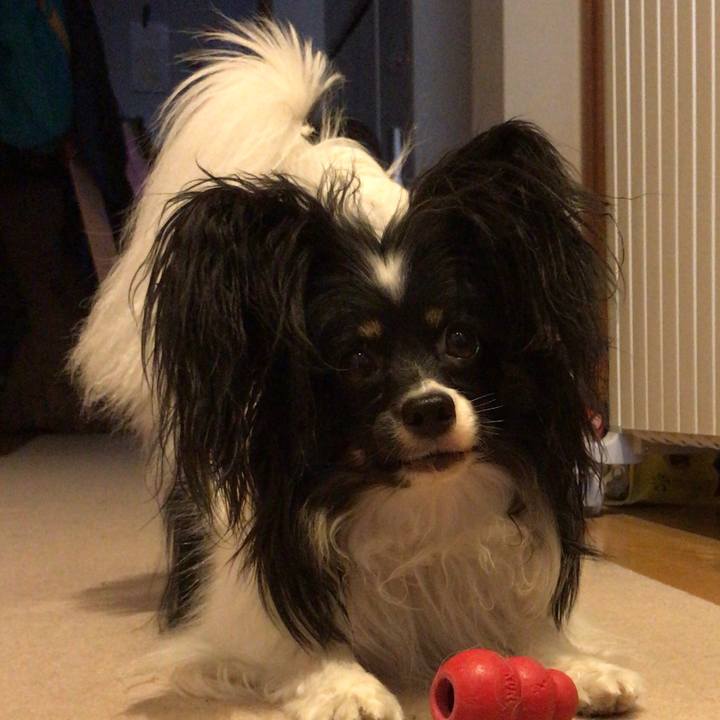 78920ff0 d859 4018 86de 89393f163717