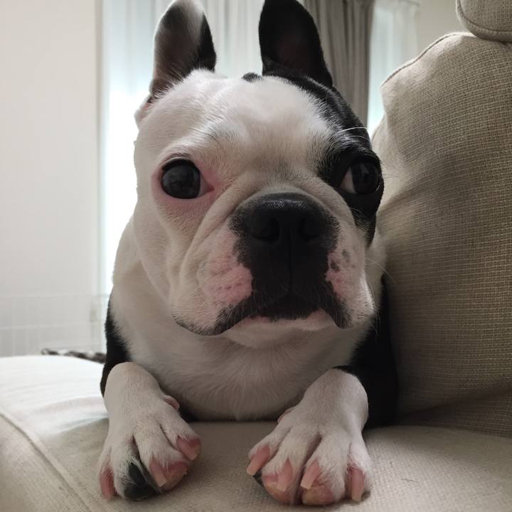 78923375 9e31 4c39 af0e ce4baf887bcc