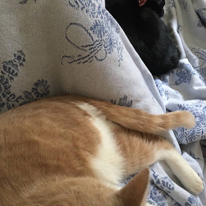 7892762c 80ef 44c1 bfb7 1f93b8fe70d2