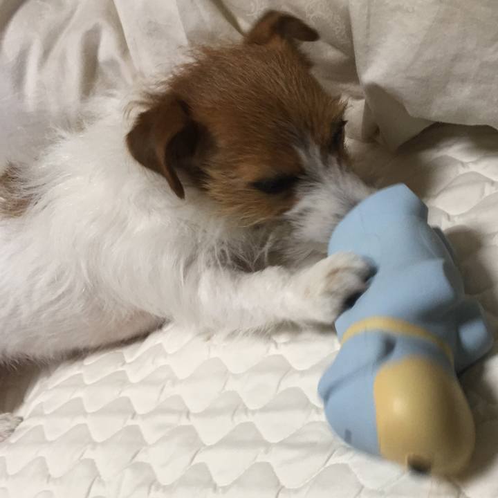 78930747 31f0 4511 9ebc bb76895befcb