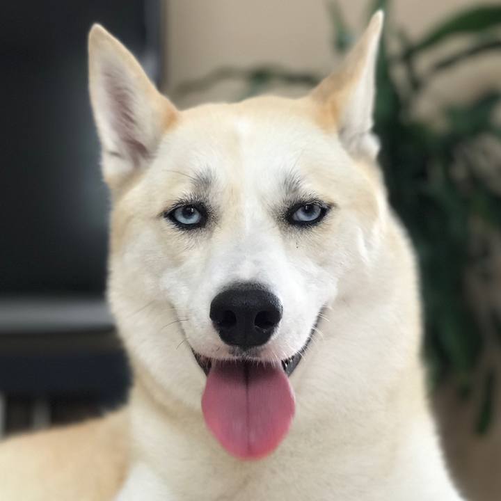 78931ac4 99fa 4c6b 96fb f08b482247db